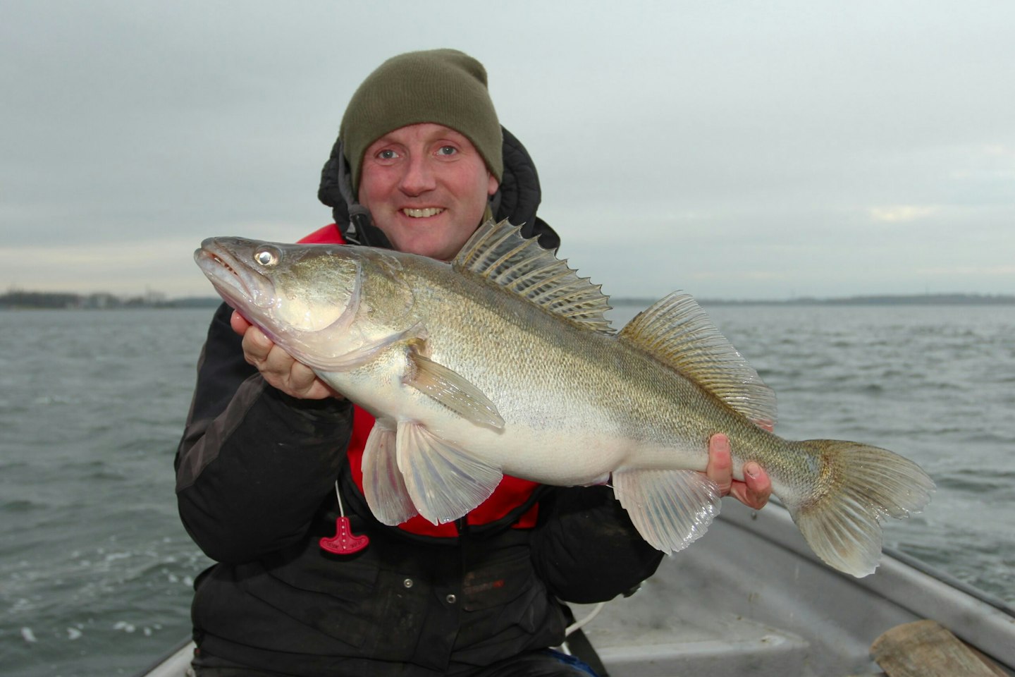 Catch zander with these bait and lure tips