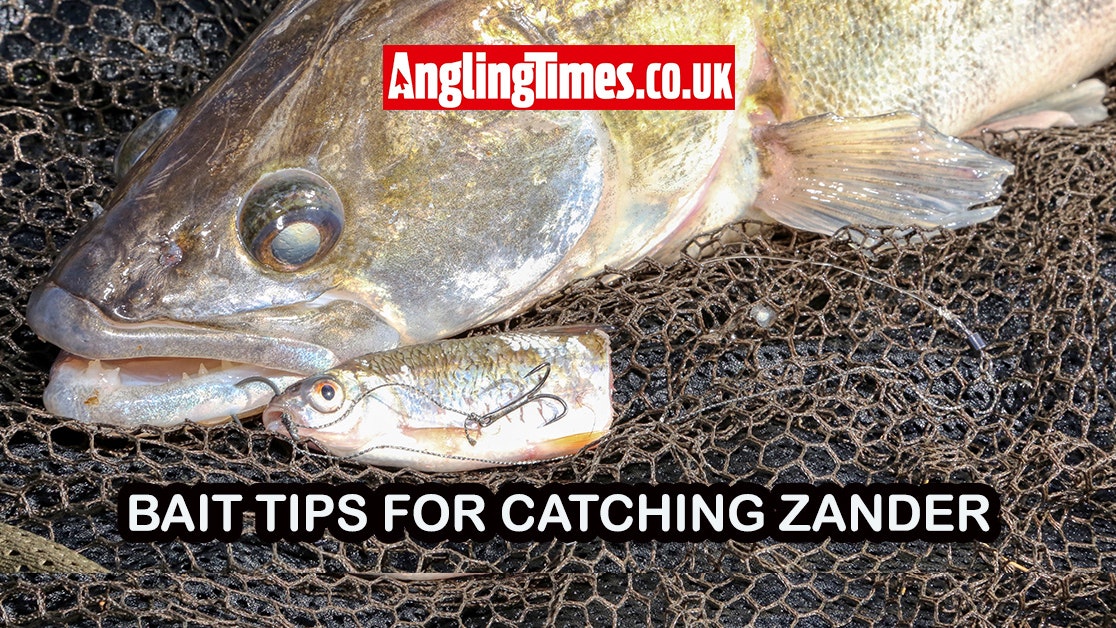 Essential Tips for Catching Zander: Bait and Lure Advice