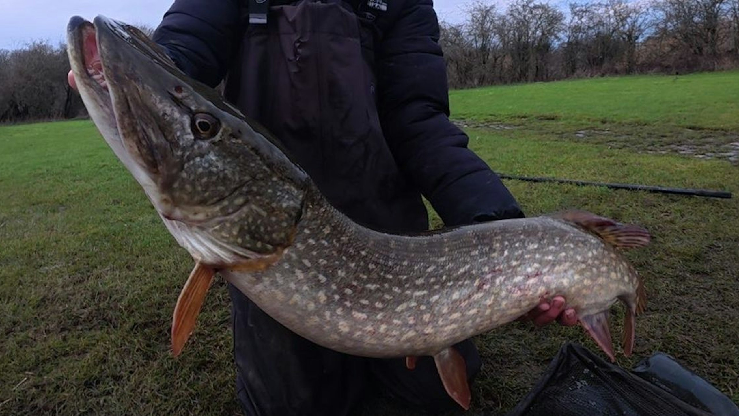 Locals stunned by angler’s personal best river pike