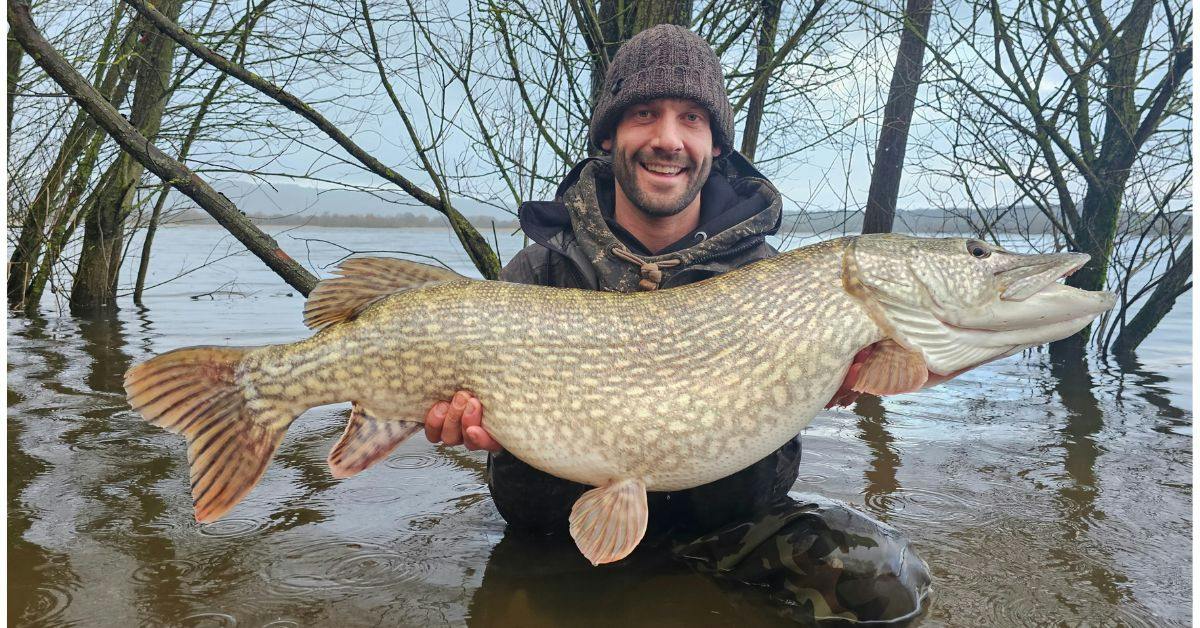 30lb Chew Valley pike nets angler an unexpected soaking