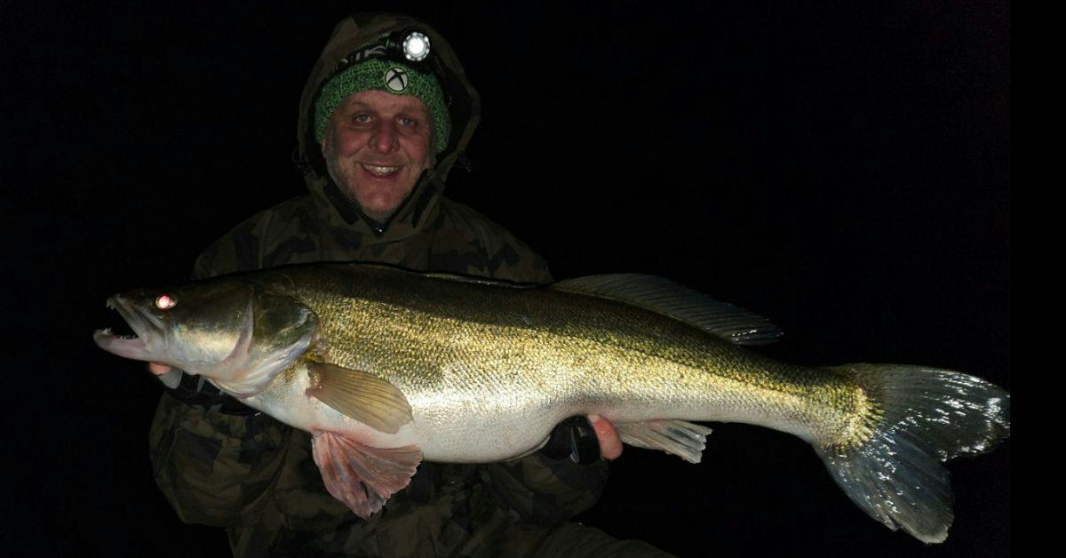 Phenomenal fishing spell ends with mighty Trent zander