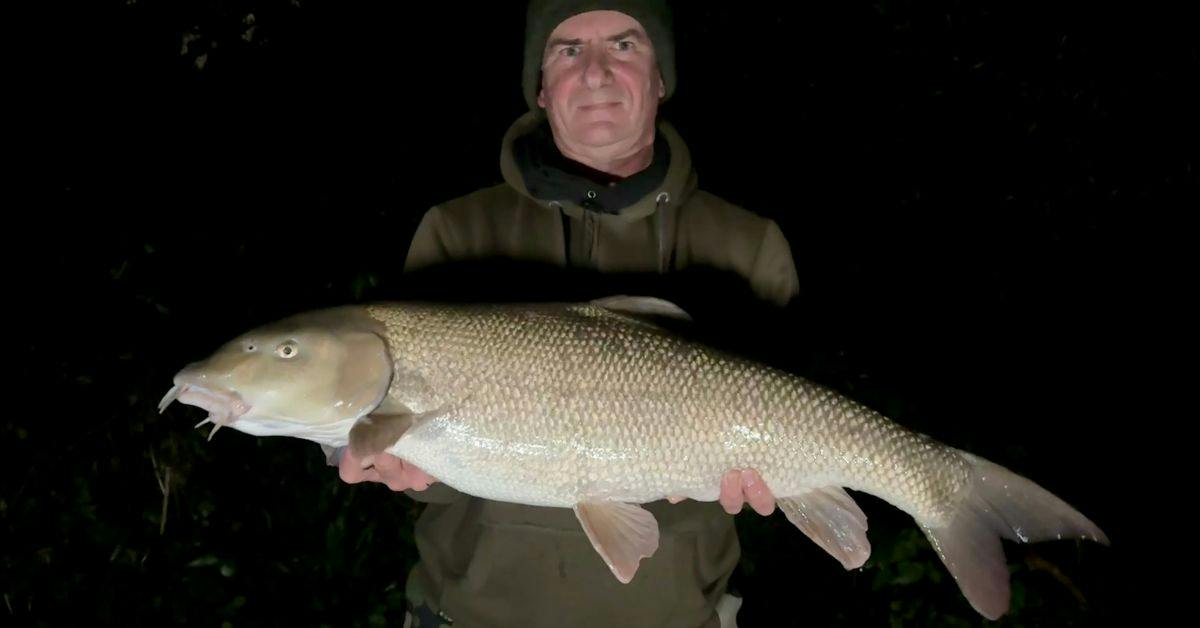 Spicy spam fools 32lb floodwater barbel brace