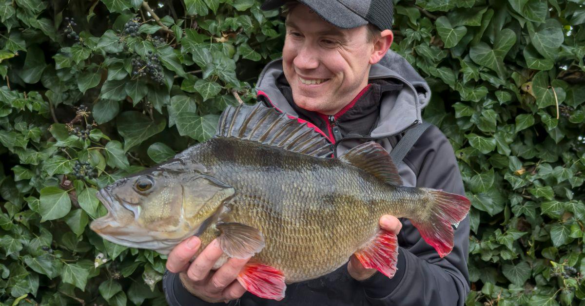 Monster 5lb River Lea perch smashes personal best