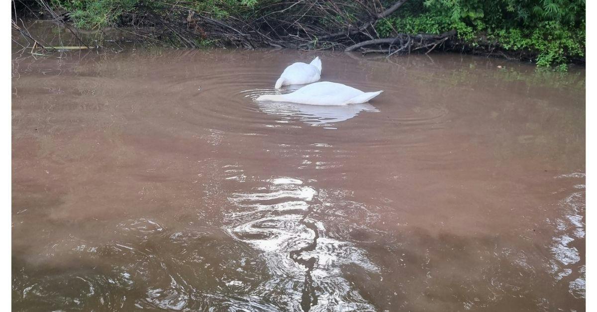 Concerns raised as government water plan falls short