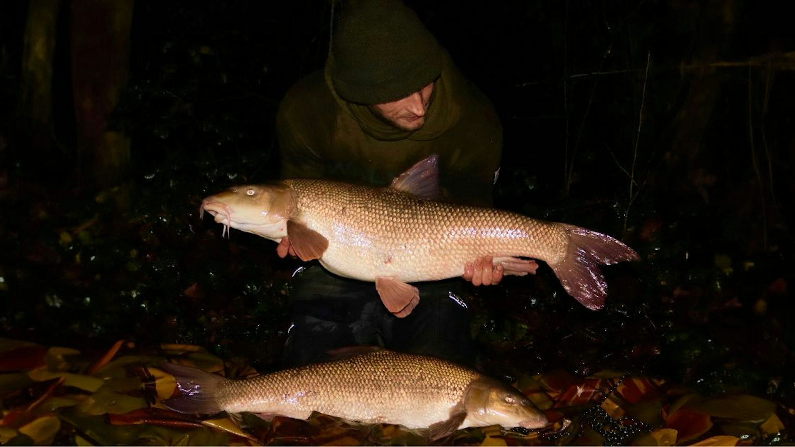 Quickfire brace of chalk stream barbel banked