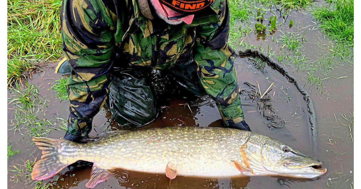 Unforgettable river session ends with record pike