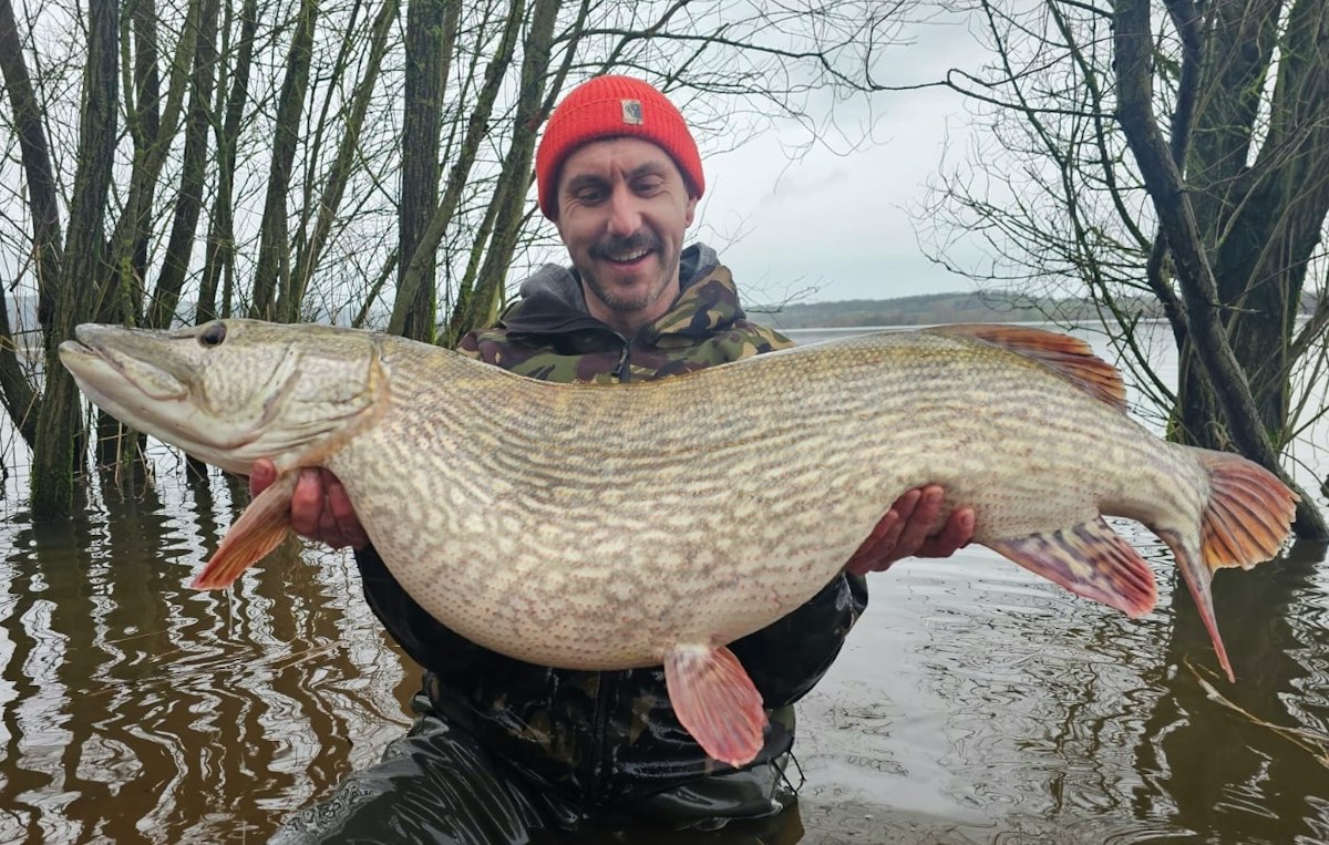 70lb of pike from just two bites