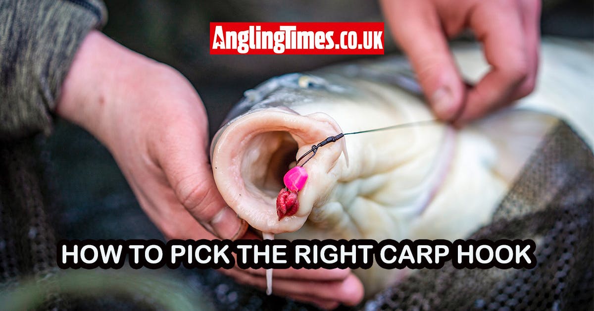 best pole fishing hooks Best Size Hook For Carp Fishing Best And Sharpest Carp Fishing Hooks Pole  Position Tackle