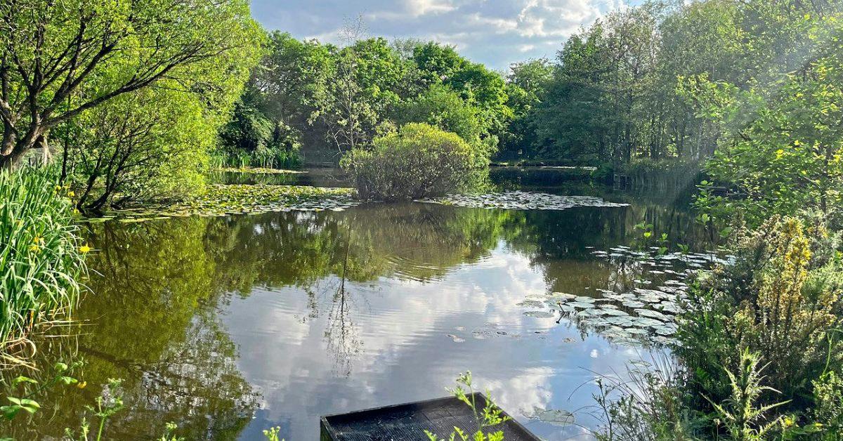 Family-run fishery celebrates 40th birthday