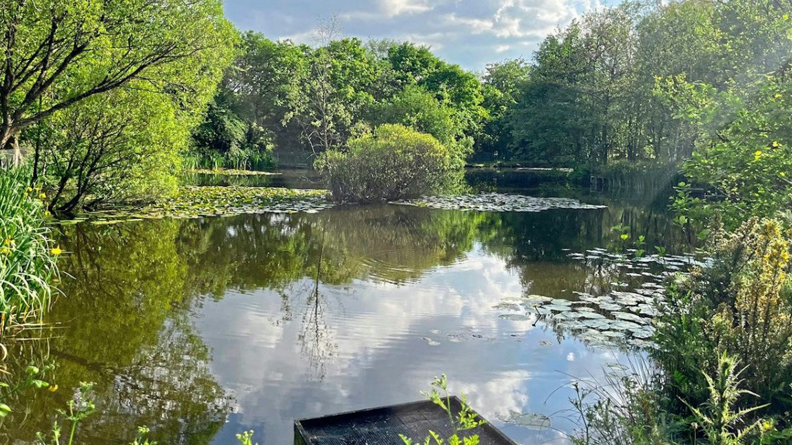 Family-run fishery celebrates 40th birthday