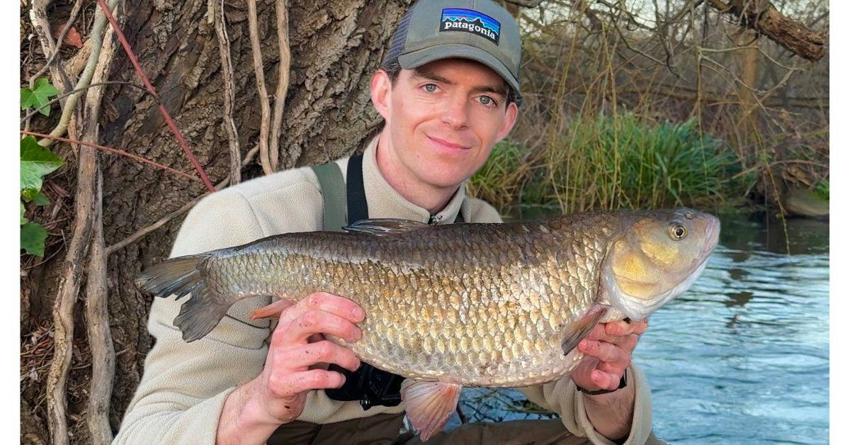 Giant colne chub landed