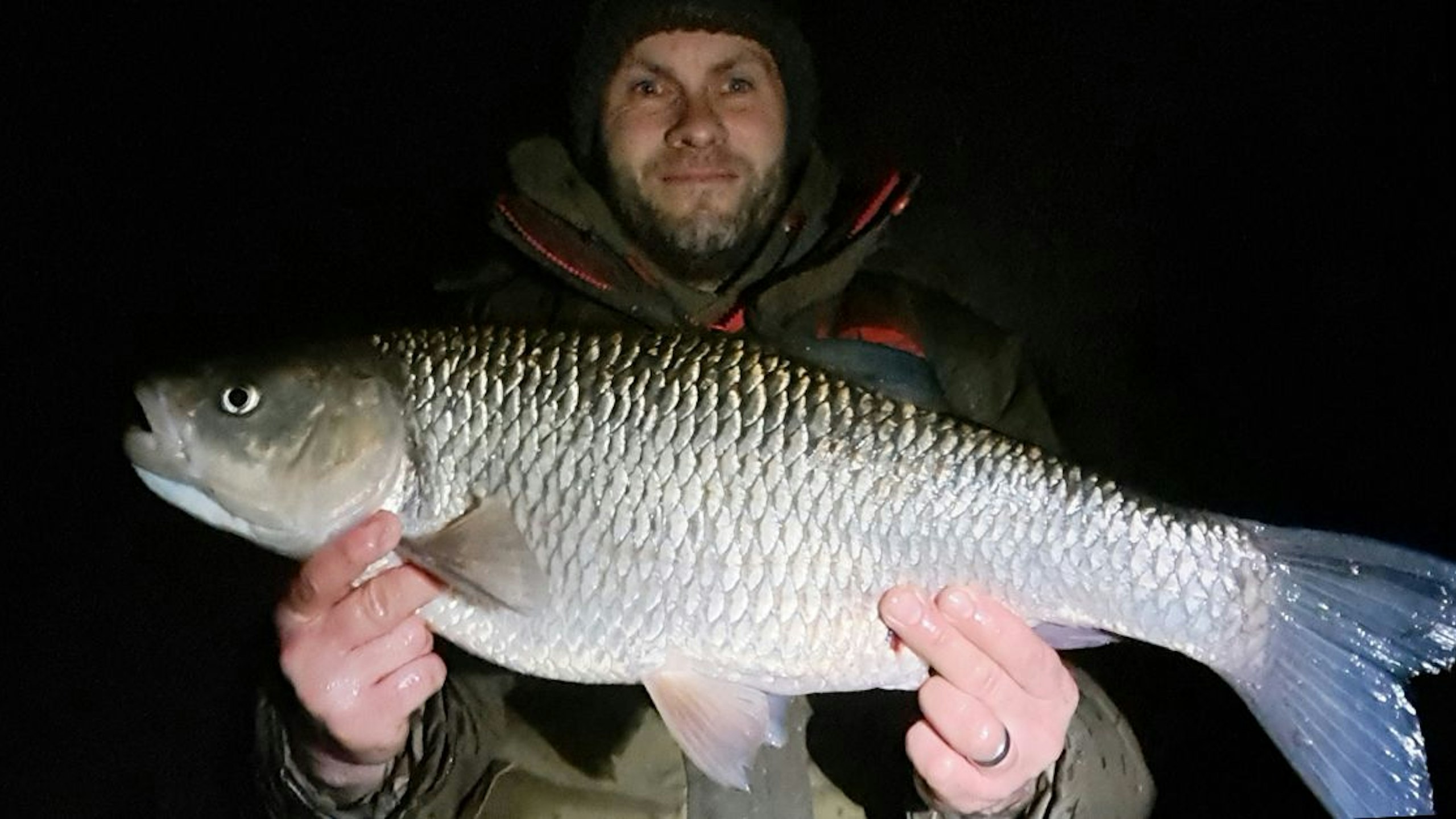 Underfished river produces outstanding chub