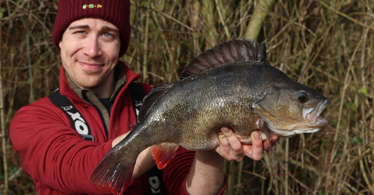 Decade-long chase ends with dream river perch