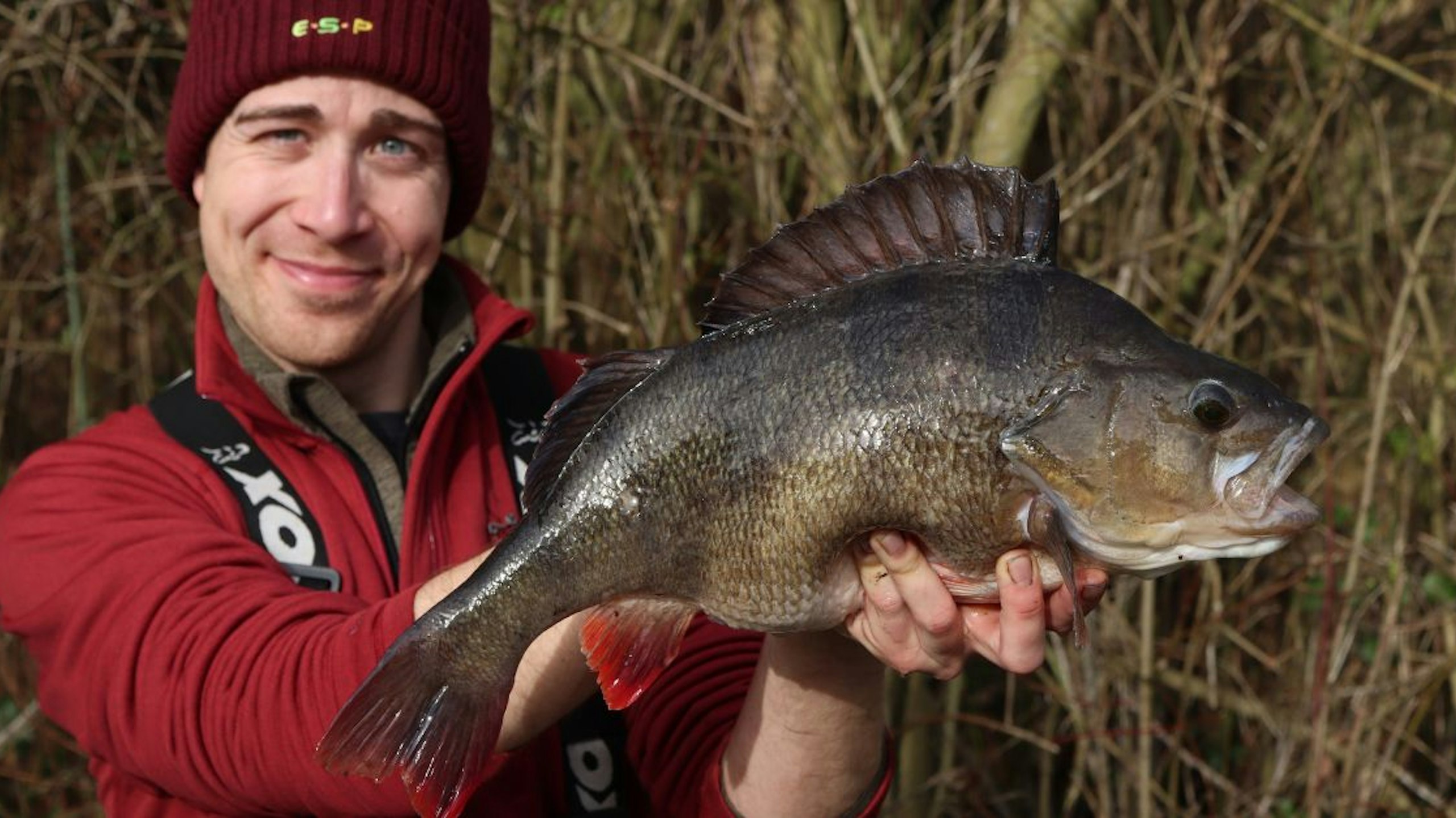 Decade-long chase ends with dream river perch