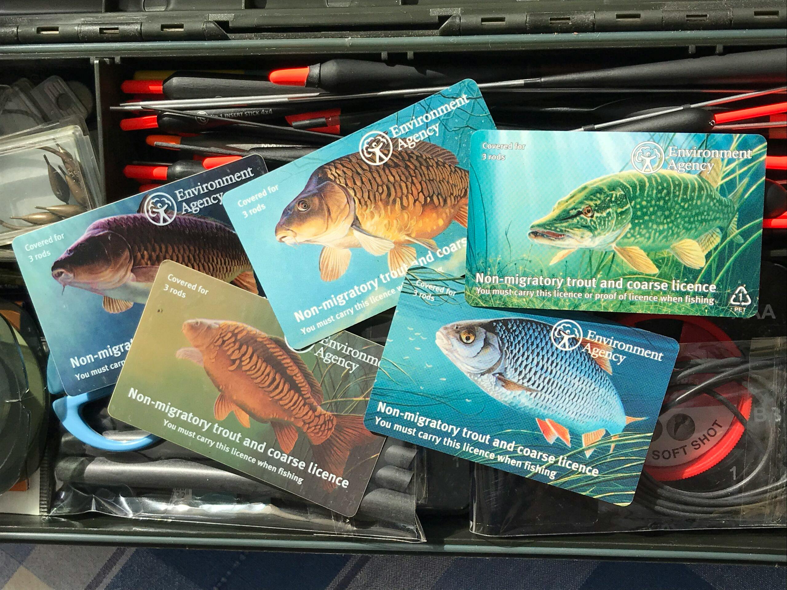 Rod licence sales up despite decline in key license type