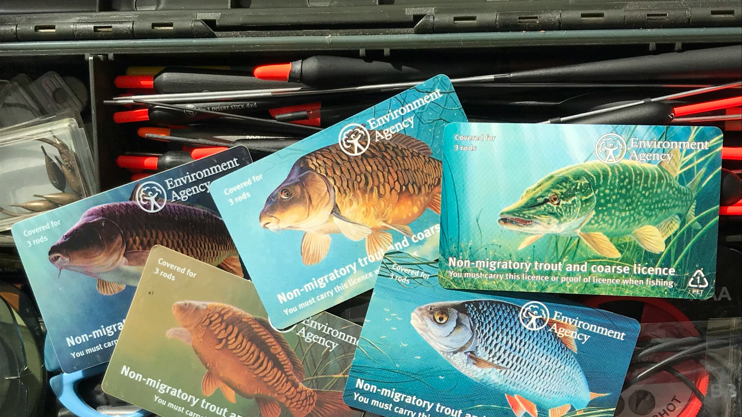Rod licence sales up despite decline in key license type