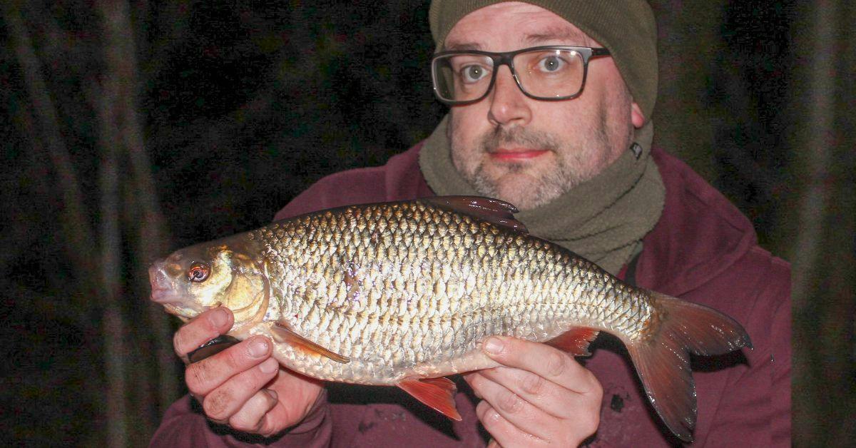 Months of effort capped by perfect roach session