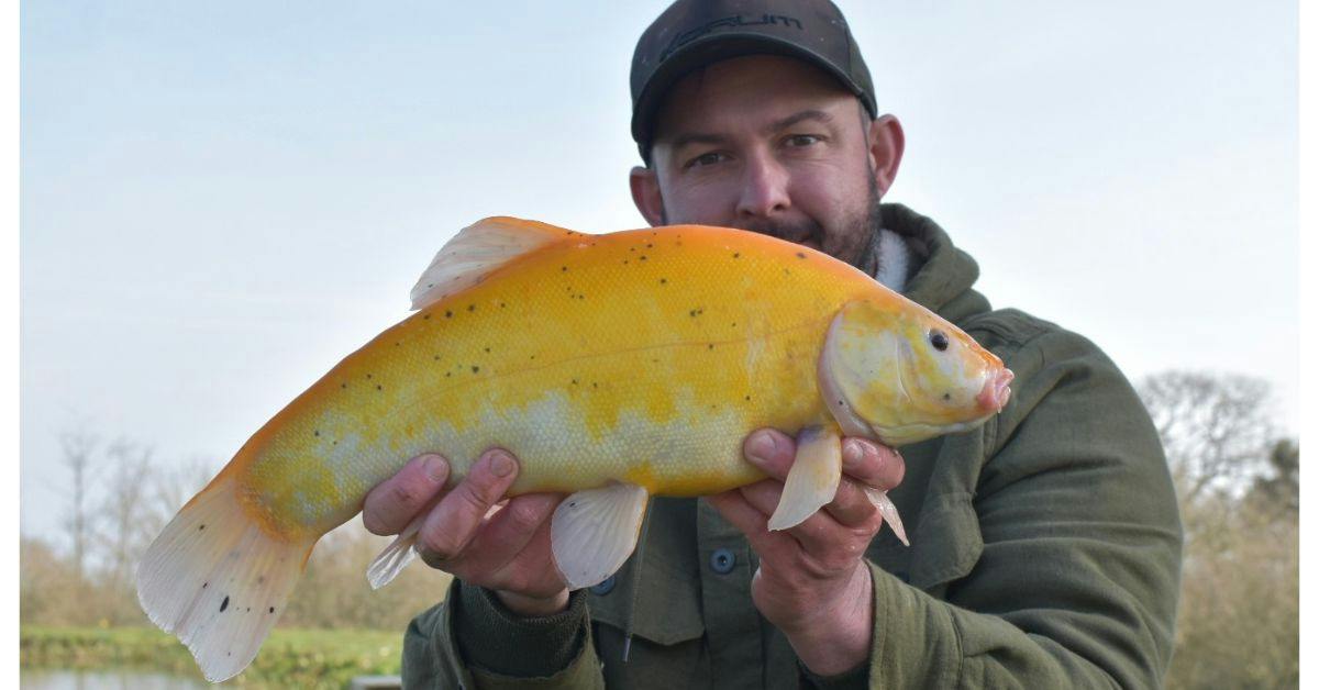 Angler turns emotional week into session of a lifetime
