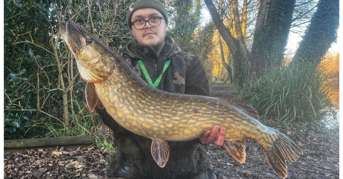 angler-banks-mystery-pike-amid-duckling-eater-rumours