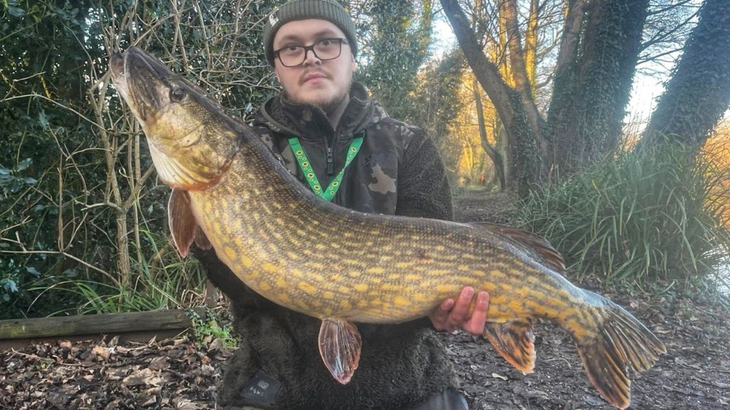 Angler Banks Mystery Pike Amid Duckling Eater Rumours angler-banks-mystery-pike-amid-duckling-eater-rumours