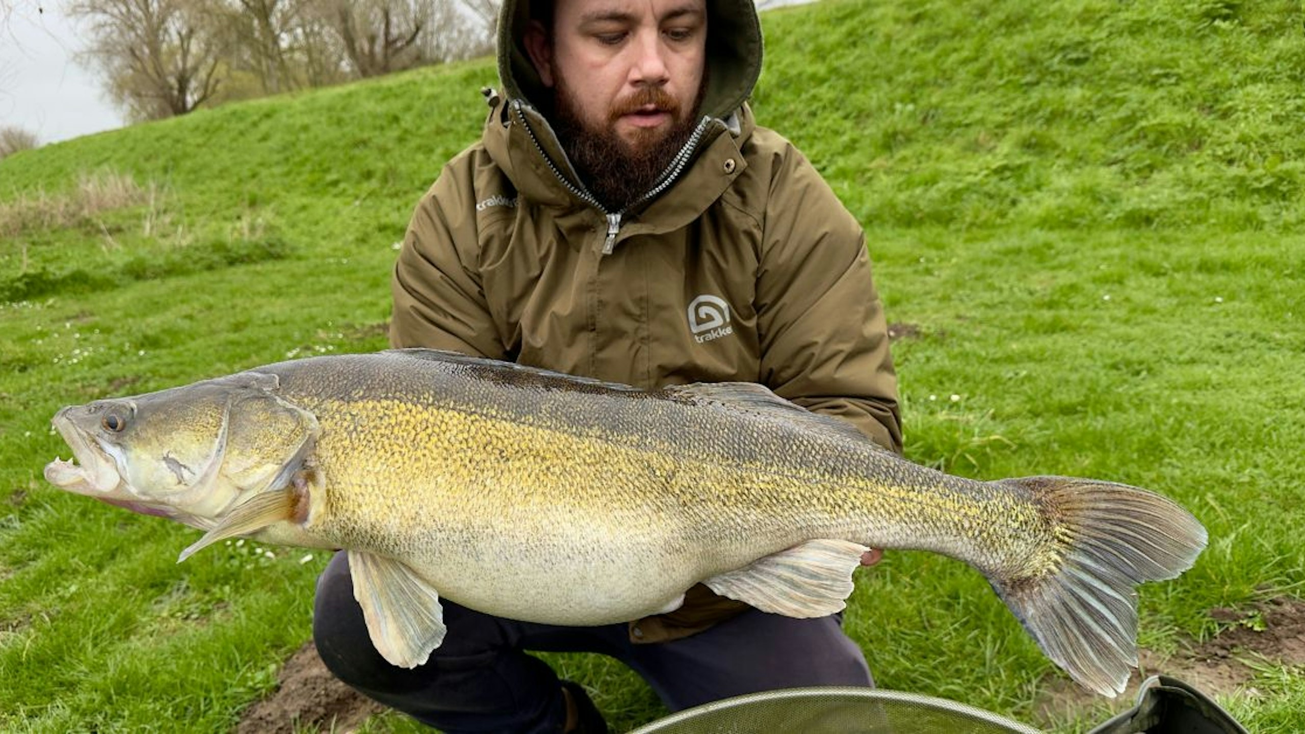 ANGLER HOLDING A SUPER ZANDER
