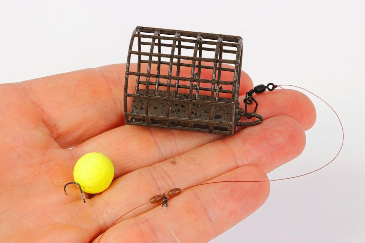 Rudd Large 10 Expert Tips for Catching Big Stillwater Rudd