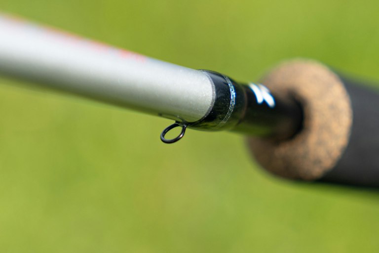 Best beginner fishing rods | Our top picks