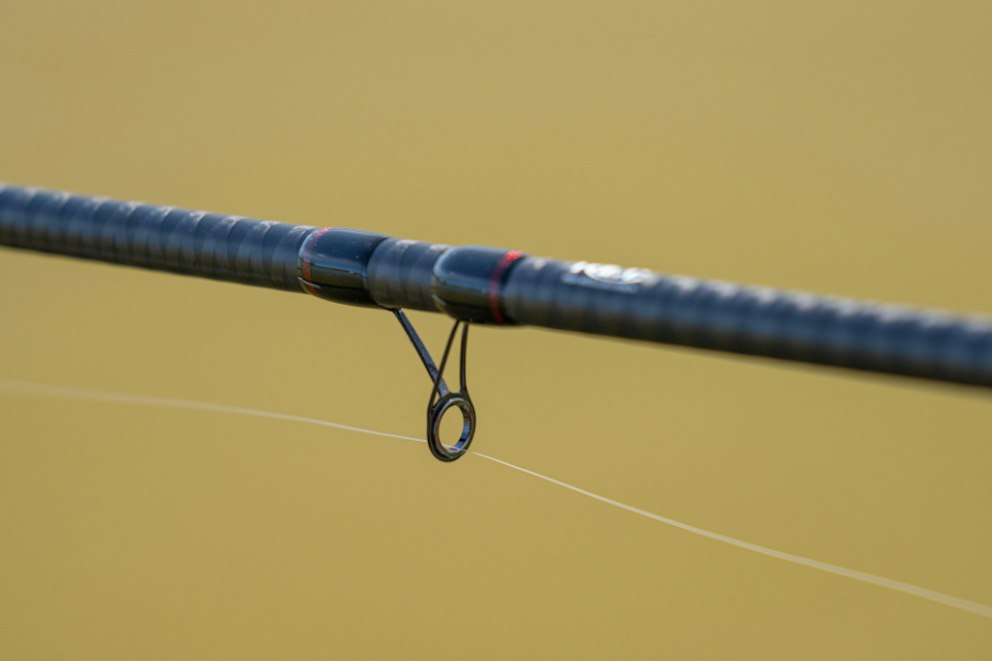 Best beginner fishing rods | Our top picks