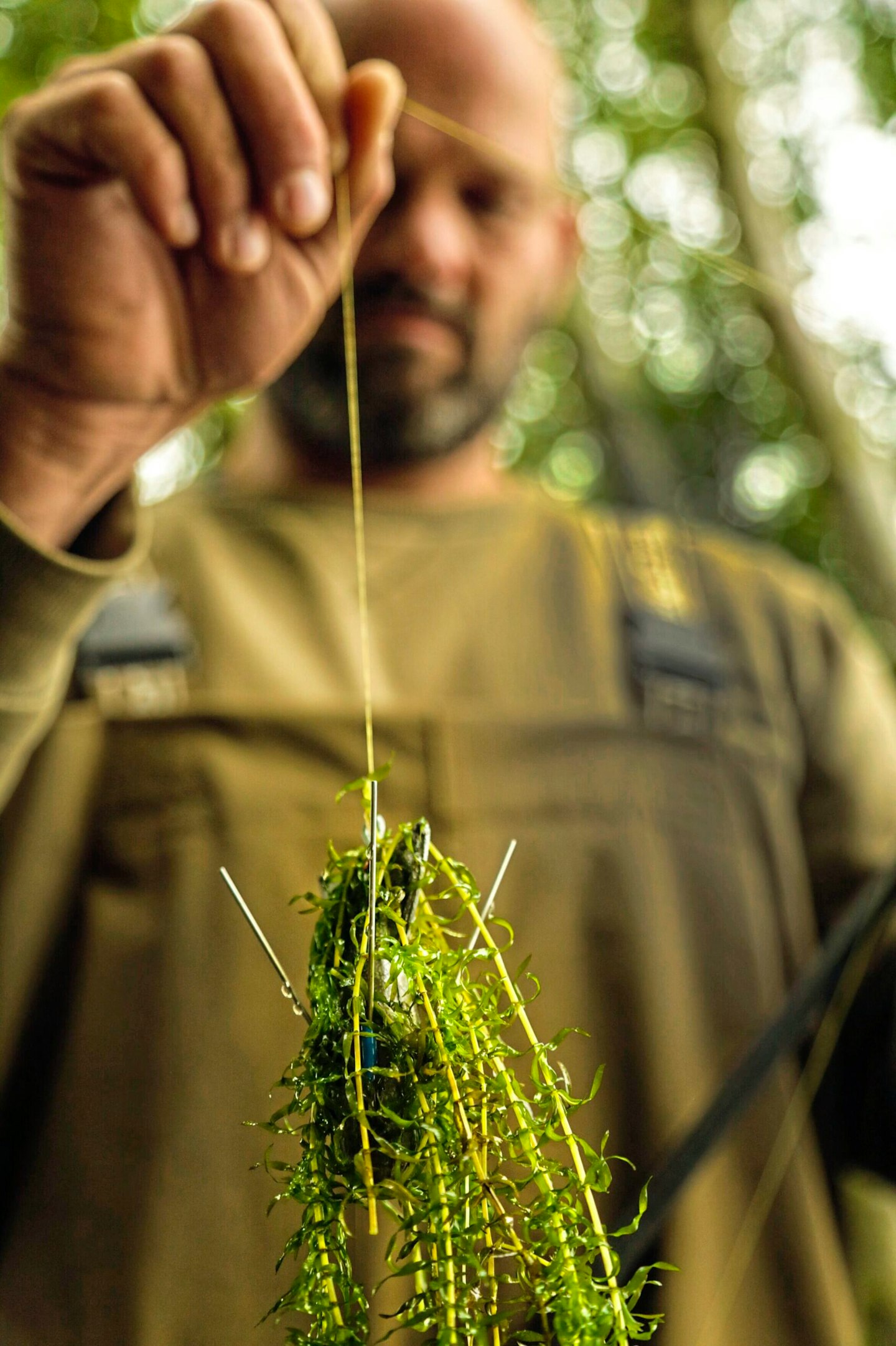 Catch more carp from weed-covered lakes
