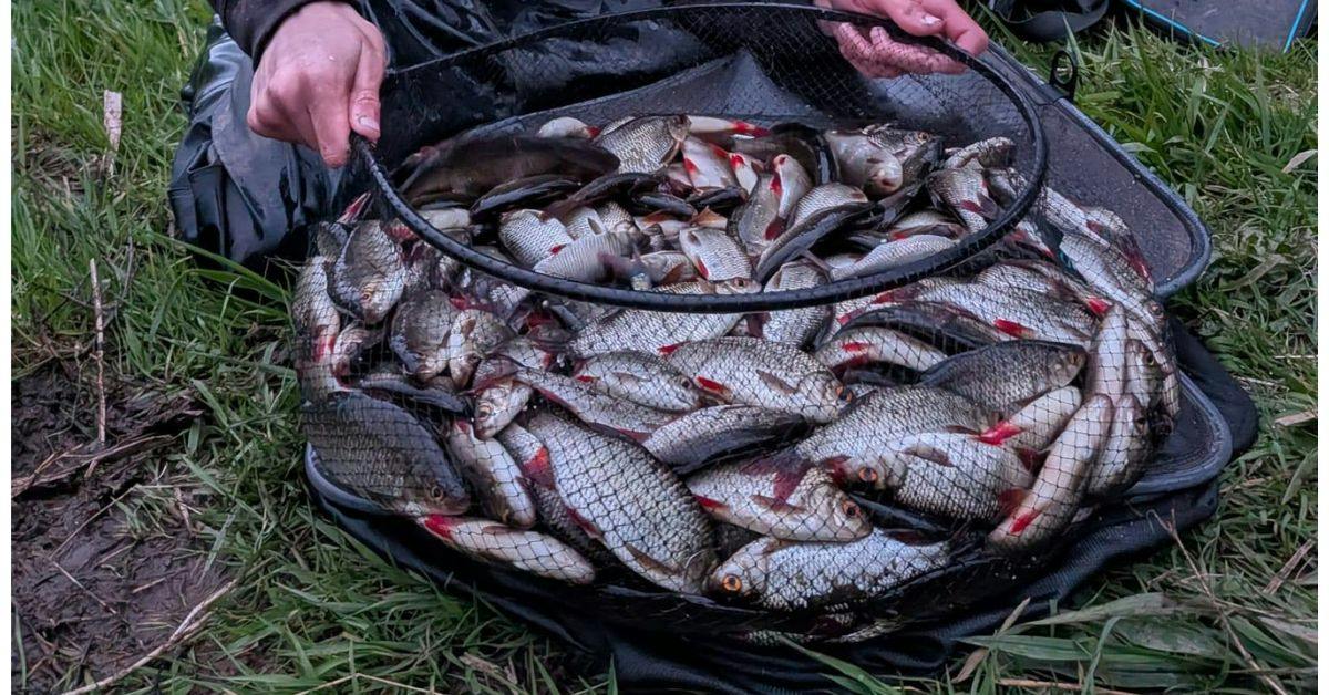 726 fish landed in under five hours