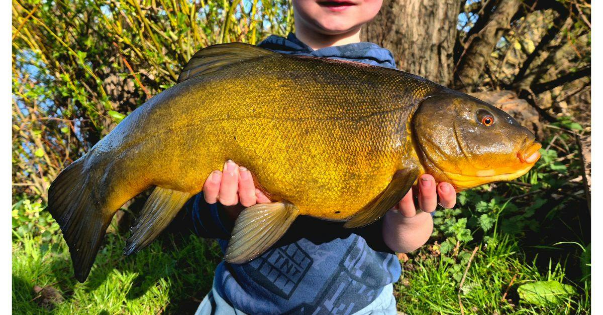 Family fishing trip ends in tench success