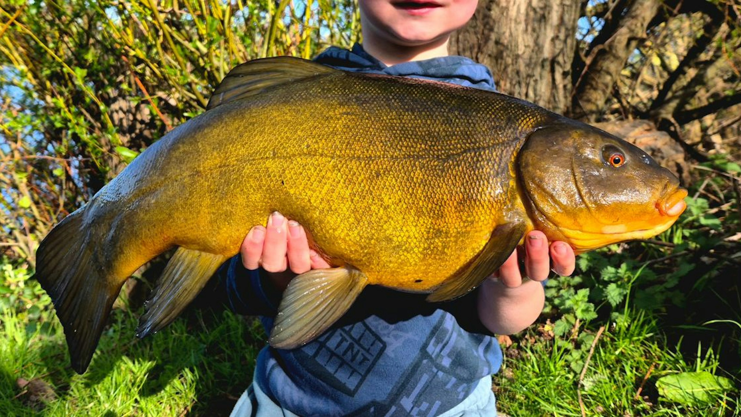 Family fishing trip ends in tench success