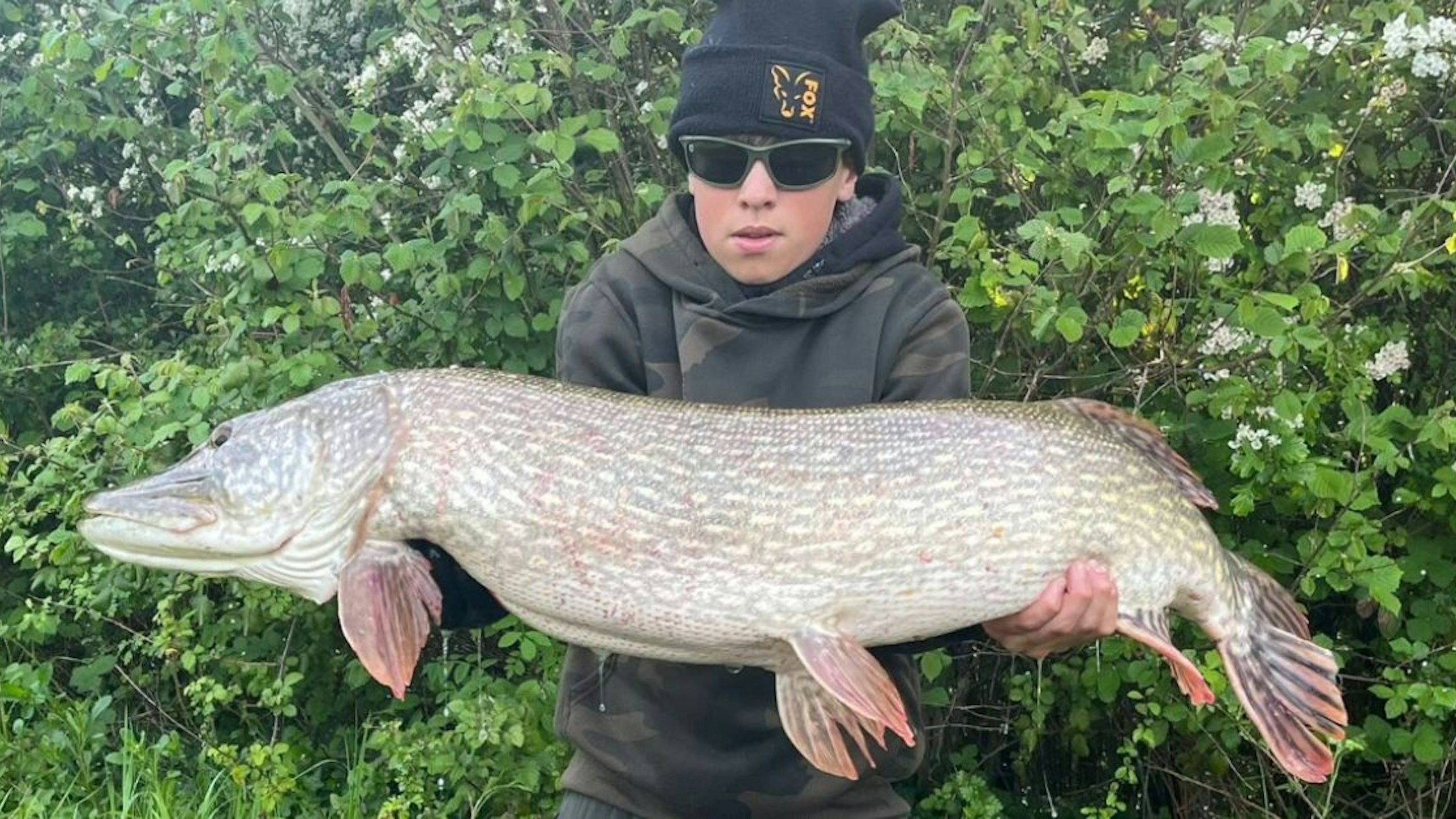 Enormous pike becomes young angler’s best ever catch
