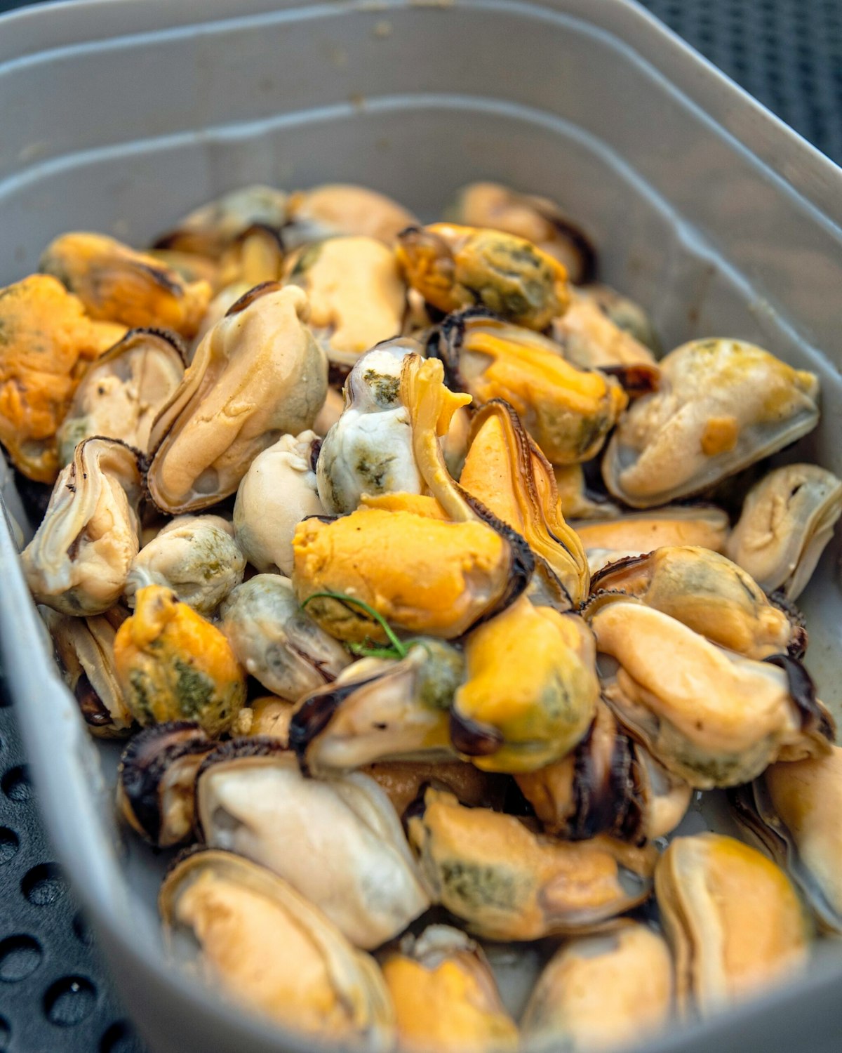 Mussels: The new super-bait for carp, tench and f1s