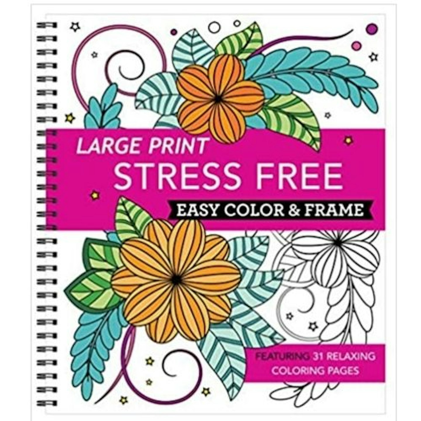 Large Print Easy Colour Adult Colouring Book