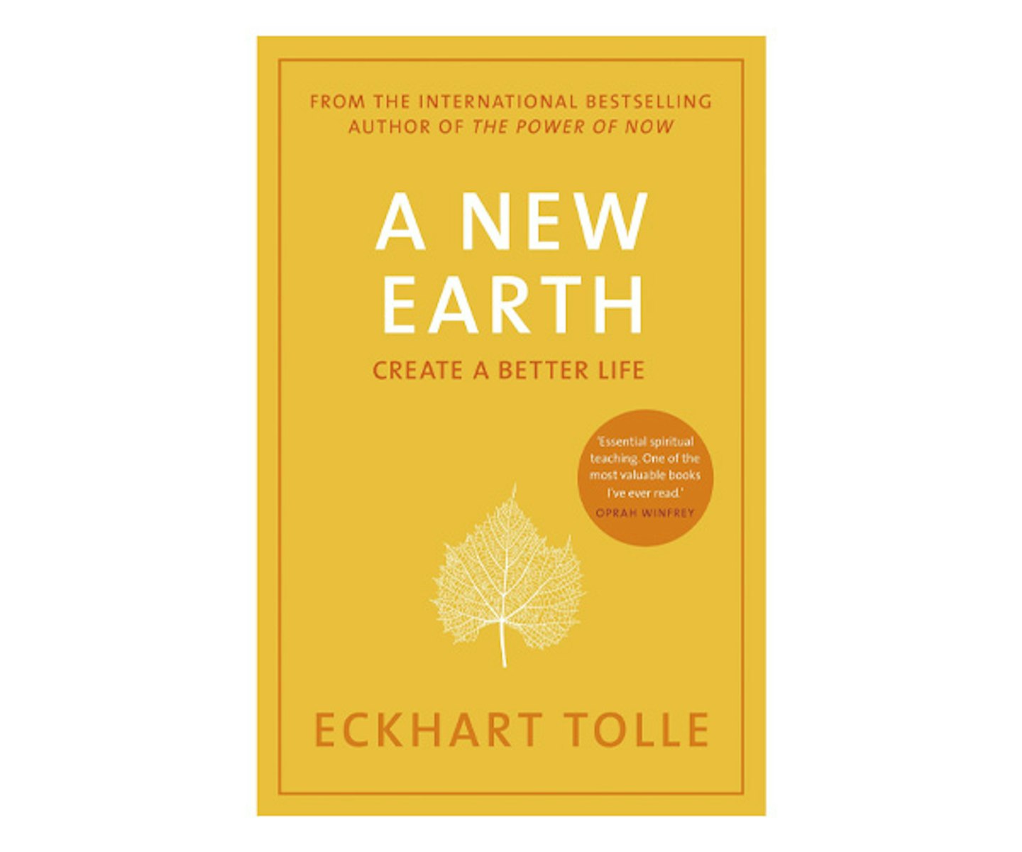 A New Earth: The Life-Changing Follow Up to The Power of Now