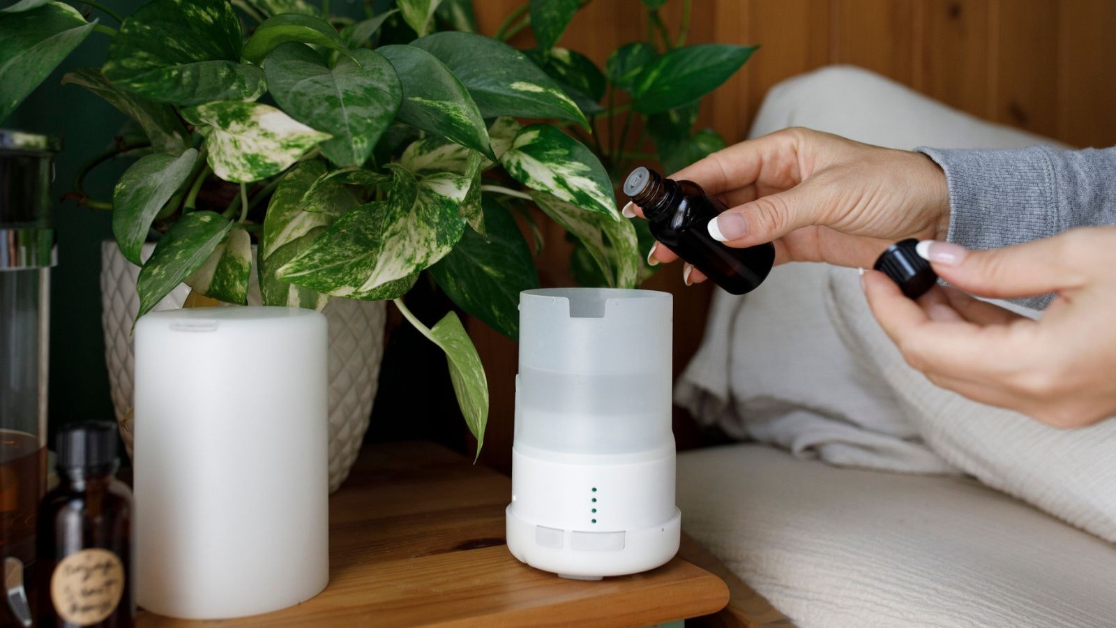 Best Aromatherapy Diffusers For A Calm Home