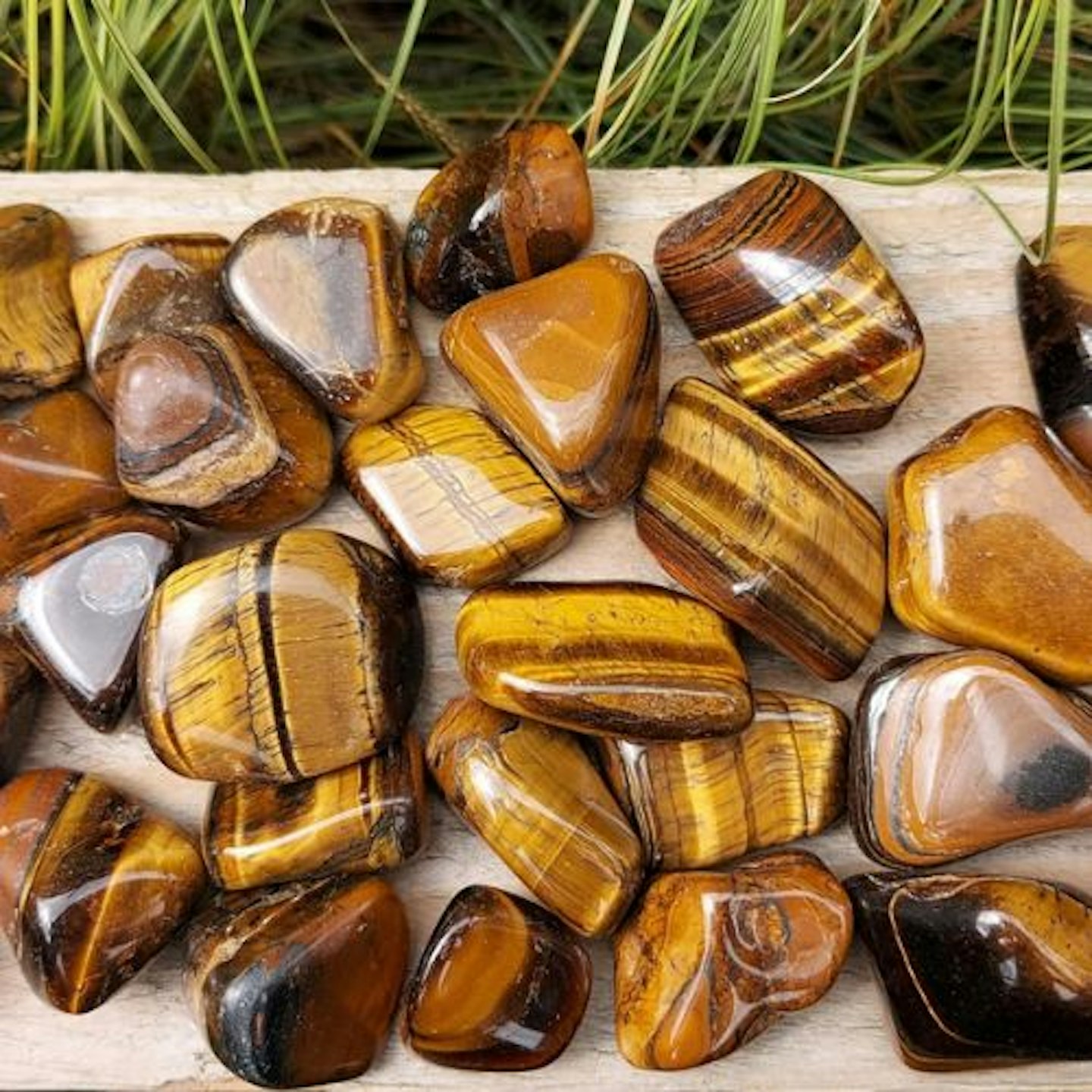 Tigers Eye