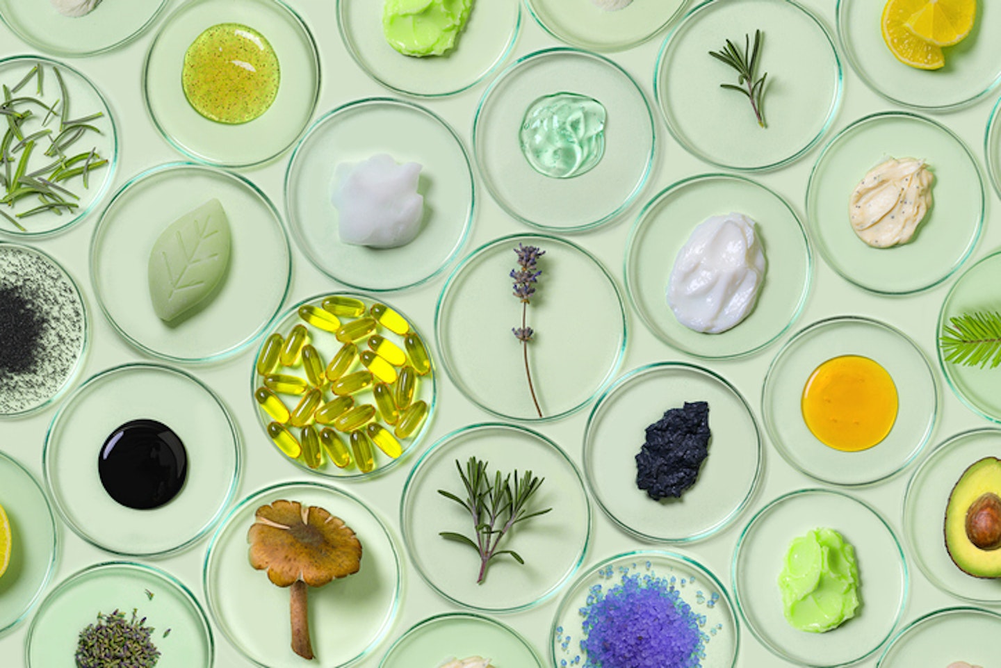 Organic, bio cosmetics healthy concept with Petri Dishes with natural plants and beauty products.