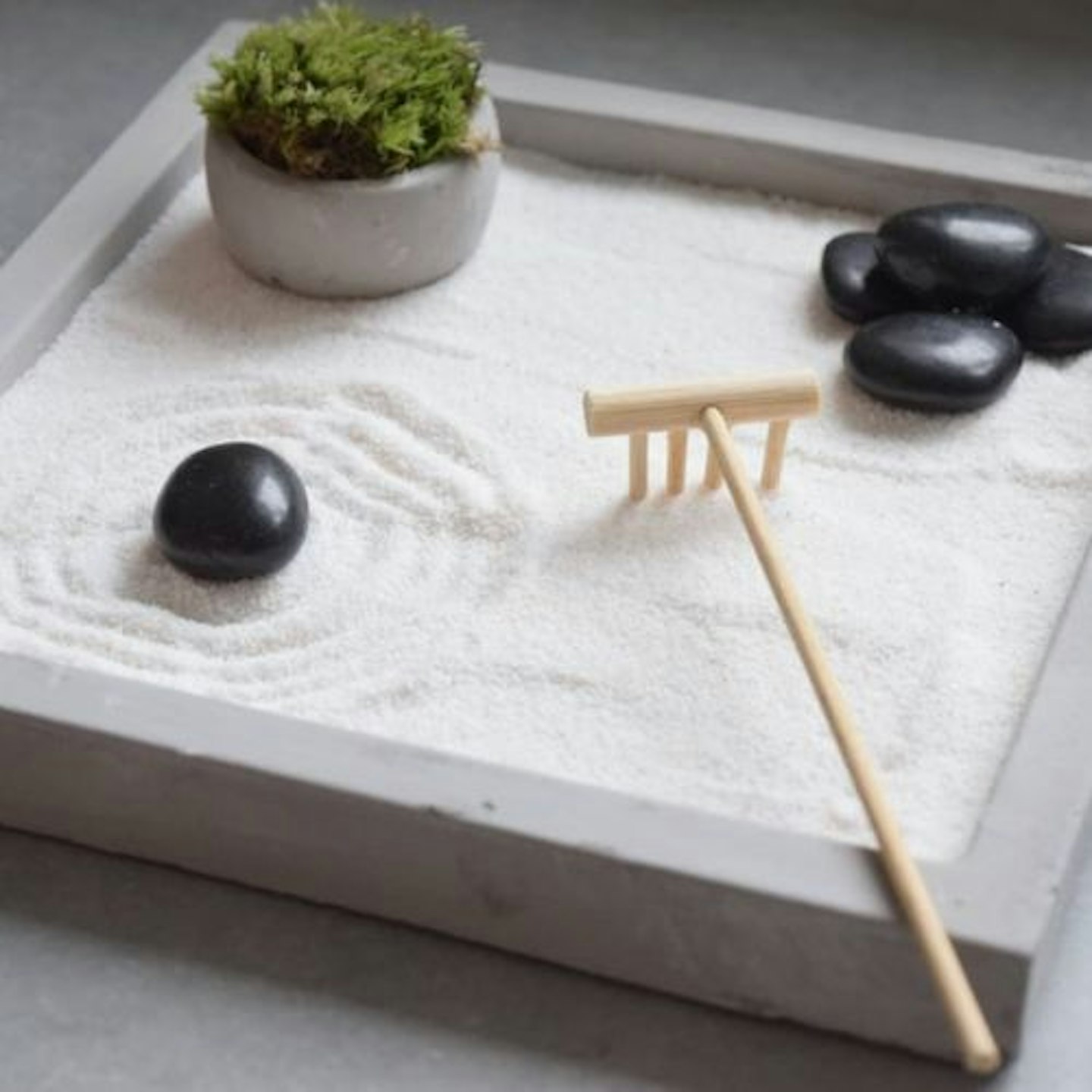 Japanese Zen Garden with Rake and Moss