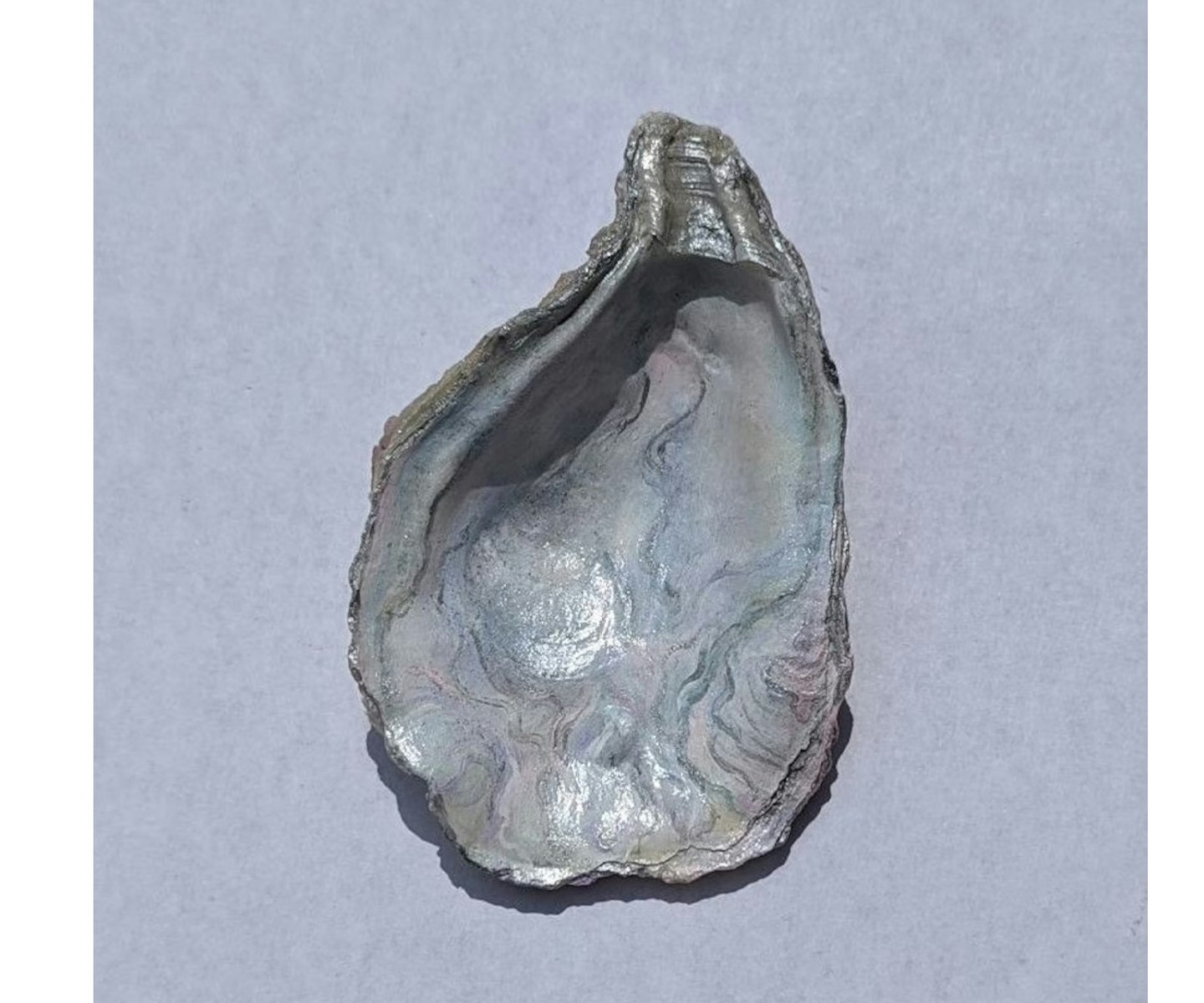 oyster