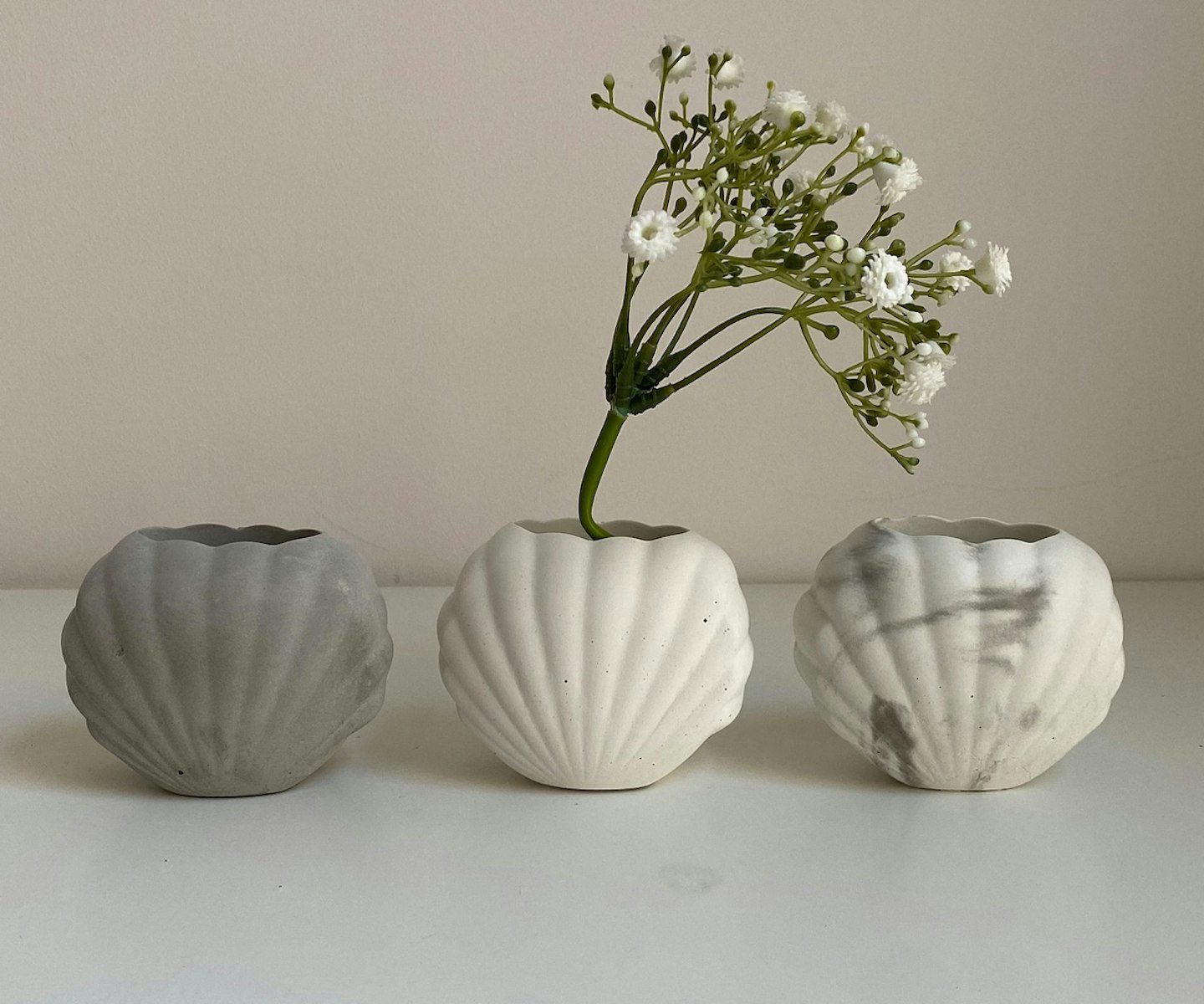 shell vase