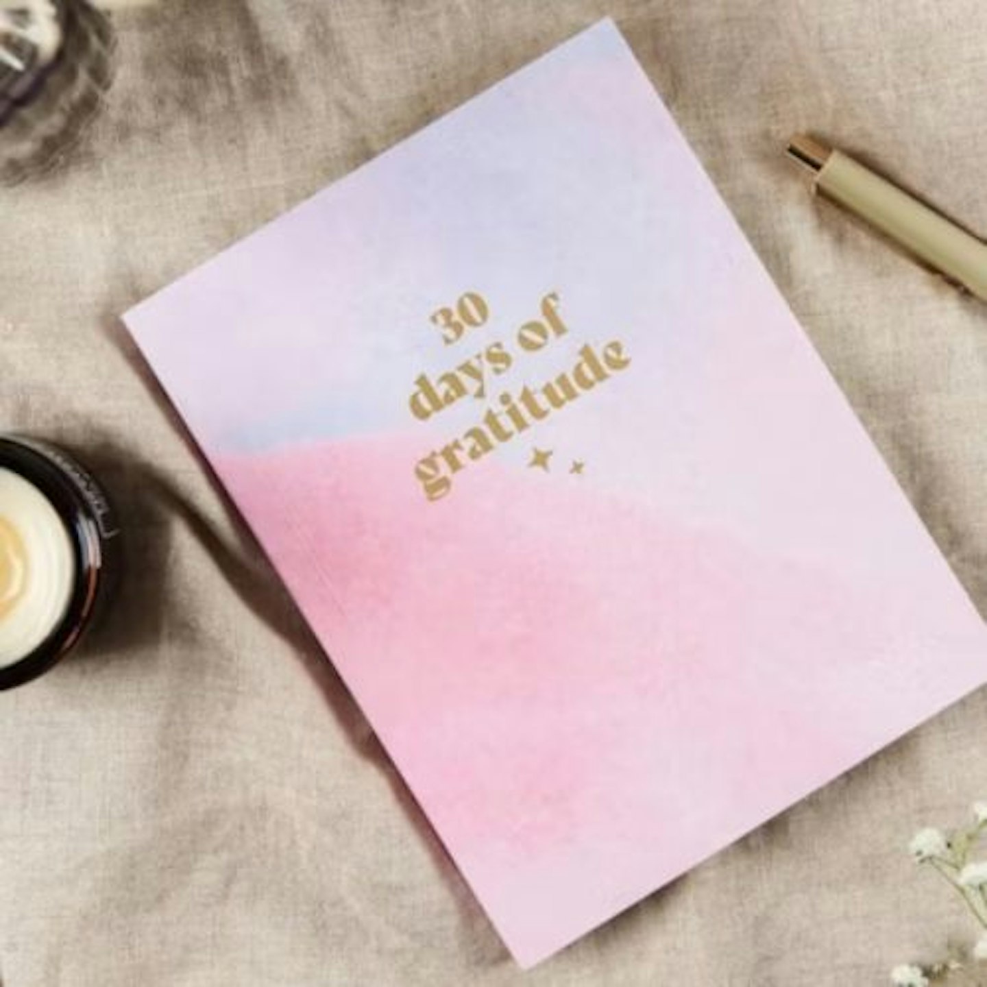 Mindfulness and Gratitude 30 Day Notebook - Everyday Wellness, Gratitude Challenge, Diary for Reflection