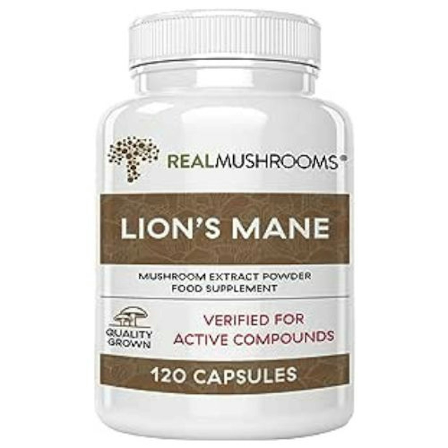 Lions Mane Brain and Focus Supplements  