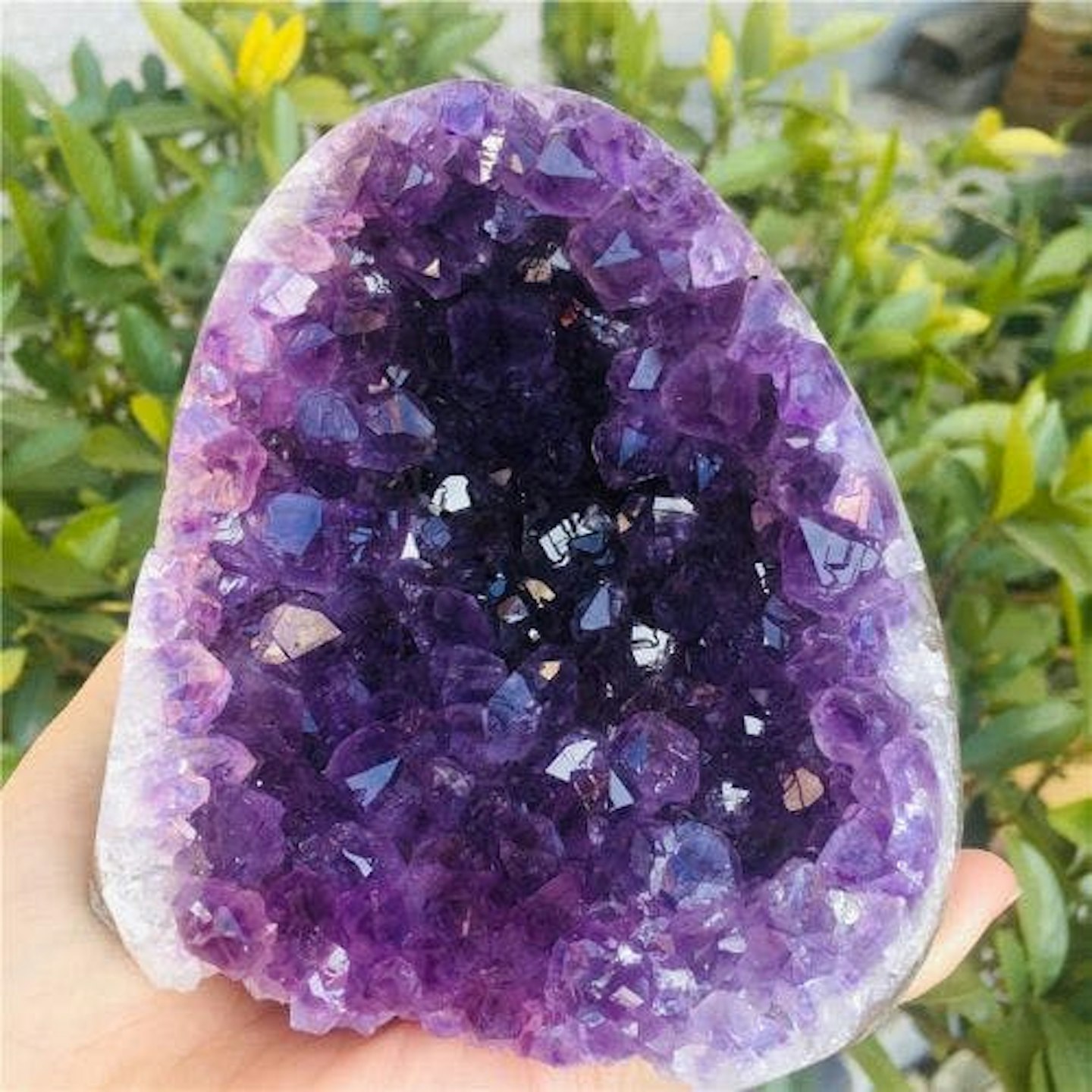 Amethyst Geode