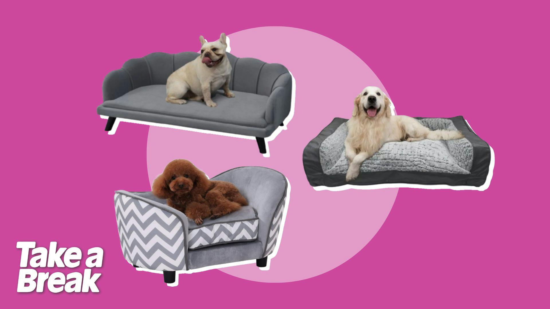 Best dog sofa bed for your pampered pooch in 2024