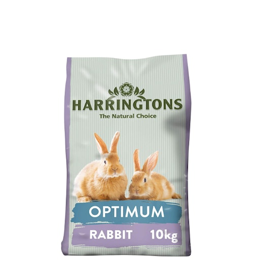 Treat your bunny with the best rabbit food for their health Pets