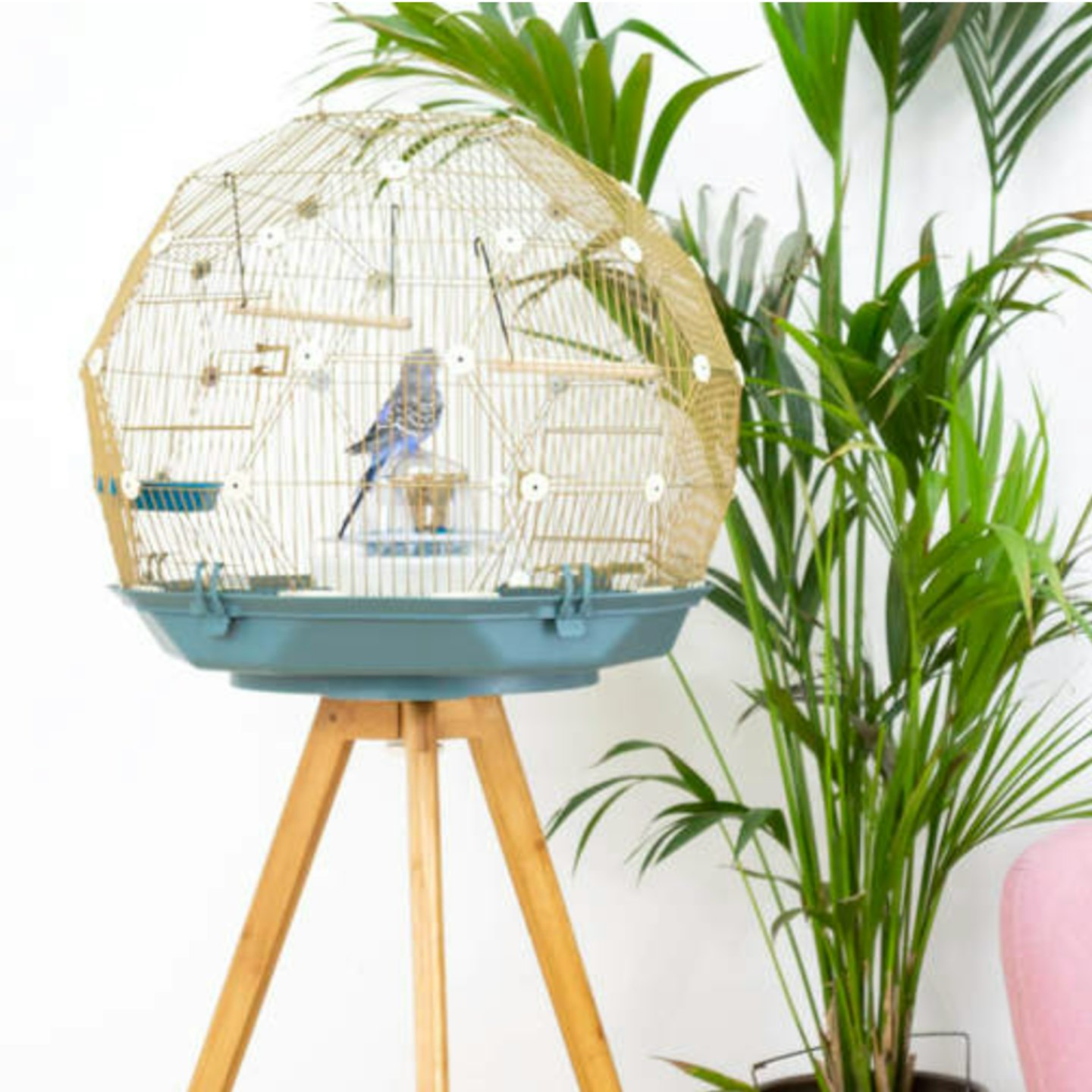 Geo Bird Cage for Budgies, Finches and Canaries