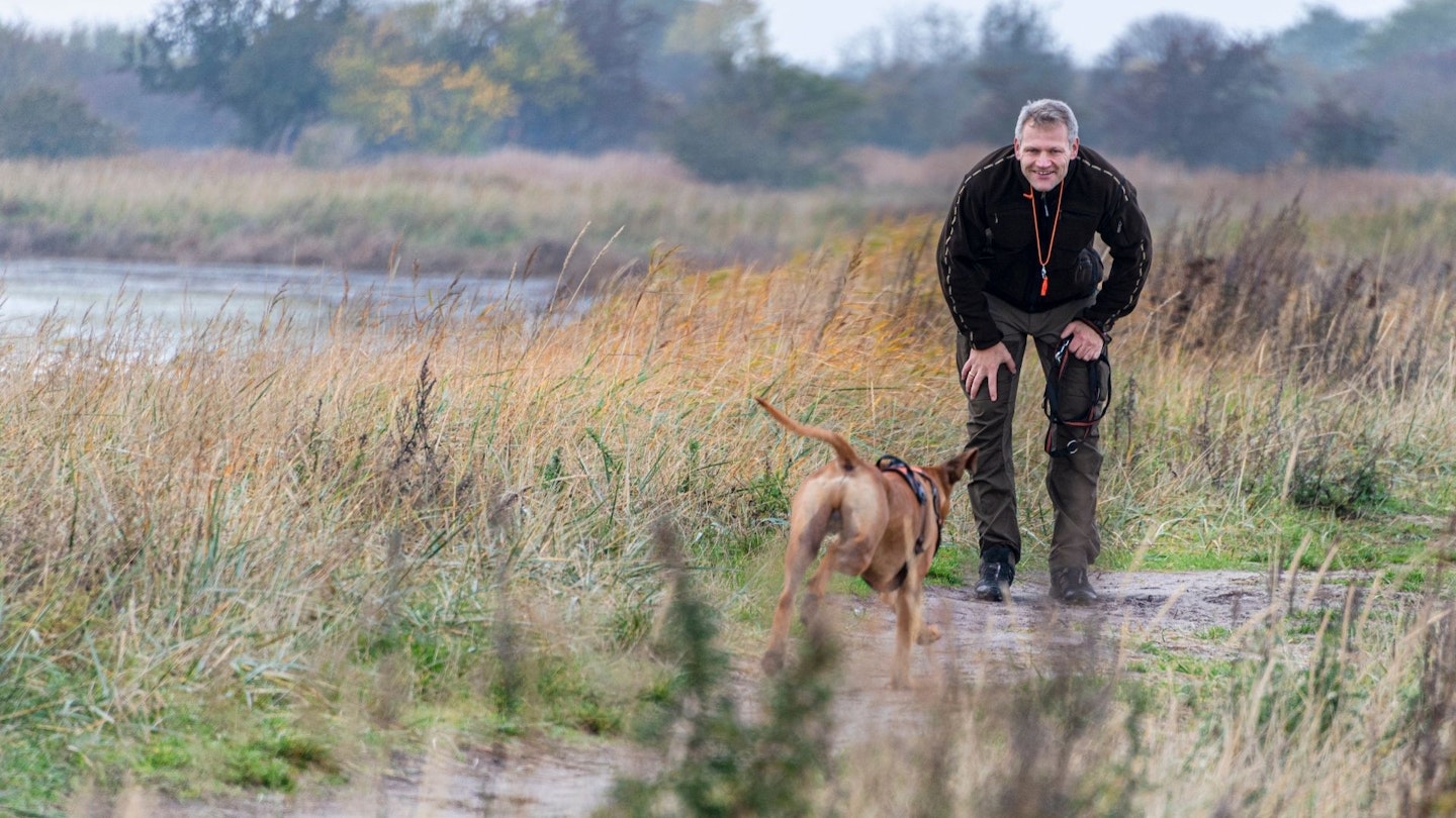 dog running towards owner wearing dog whistle in field