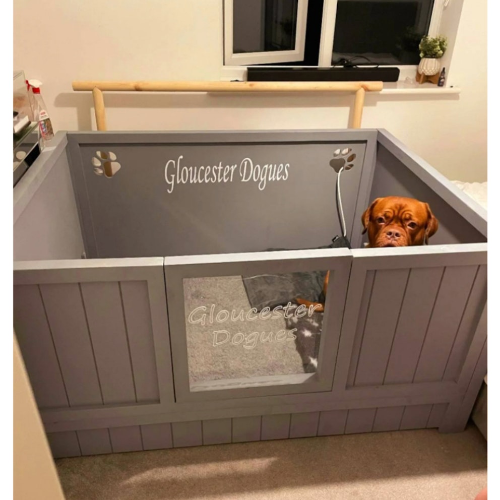 Best whelping box 2022 the best whelping boxes for your pregnant pup